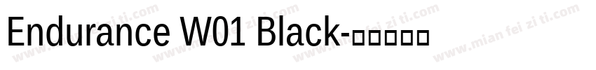 Endurance W01 Black字体转换